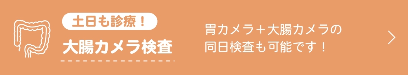 大腸カメラ検査について